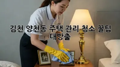 김천 양천동 주택 관리 청소 꿀팁 대방출! 🏡✨